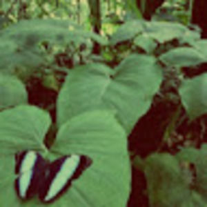 Meet your Posher, Chloe